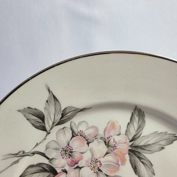 TWO Manor House Spring Glory Salad Plates Pink & White Floral Gray Leaves - Picture 11 of 13
